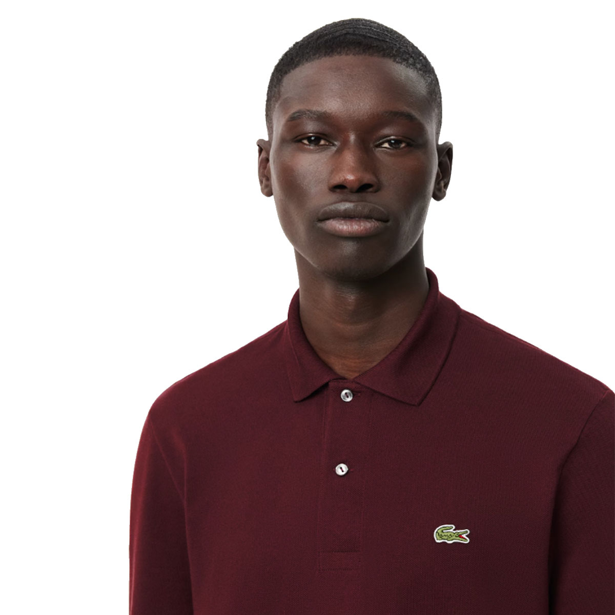 Polo lacoste manica lunga evrn offerte